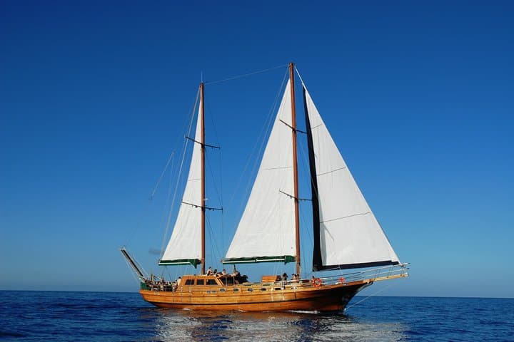 South Fuerteventura VIP Cruise on board a Turkish Gulet