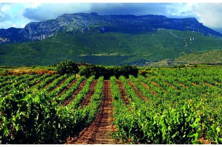 ToloÃo mountain in Rioja