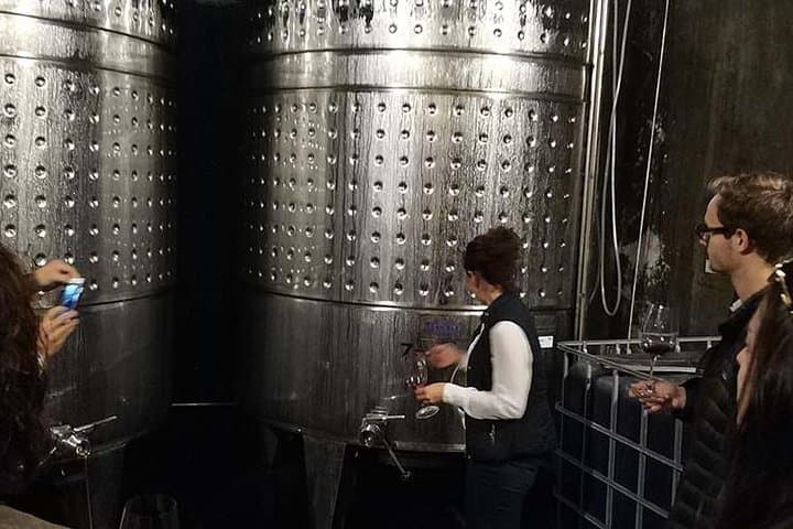 Wine tasting Tour