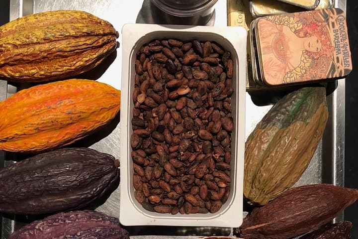 Learn all about cocoa and chocolate production