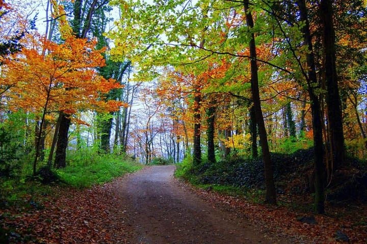 Medieval Villages & La Garrotxa Volcanic Zone Hiking. Small Group Tour
