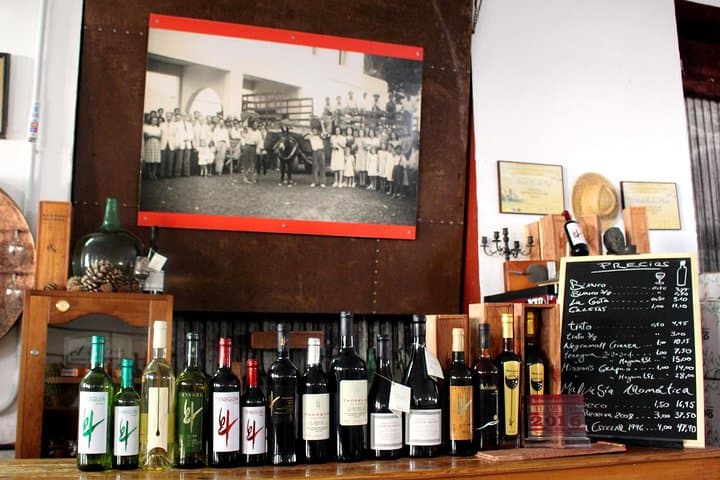 Visit Bodegas Teneguía winery in La Palma with wine Tasting