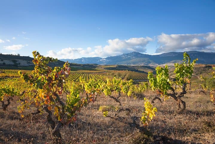 La Rioja wines and Laguardia tour from San Sebastian