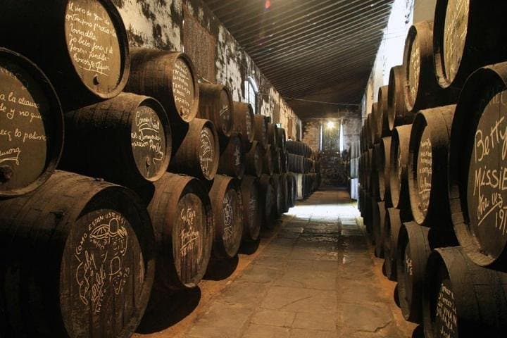 From Seville: Wine Tourism Half Day Tour