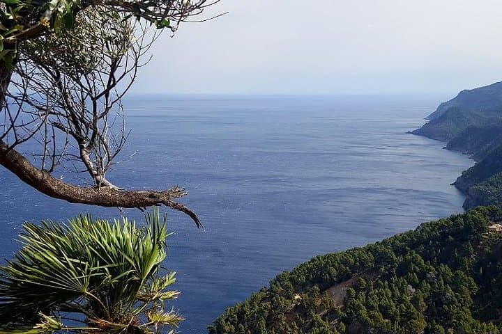 Full-Day Mallorca Caves Tour: Drach, Hams & Pearl Factory Visit