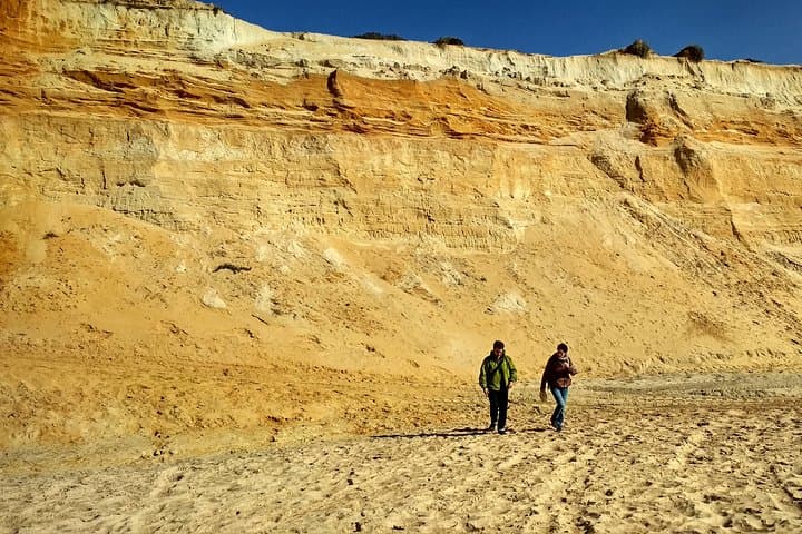 Donana National Park and El Rocío: Private Tour from Seville