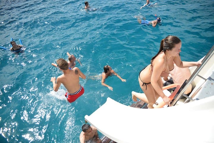 Dolphin Watching Experience in the Southwest Coast of Mallorca