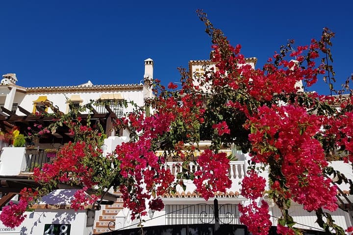 Spanish house, Malaga