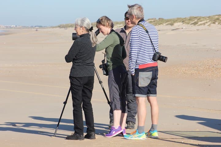 Donana National Park & Matalascanas Guided Tour from Seville