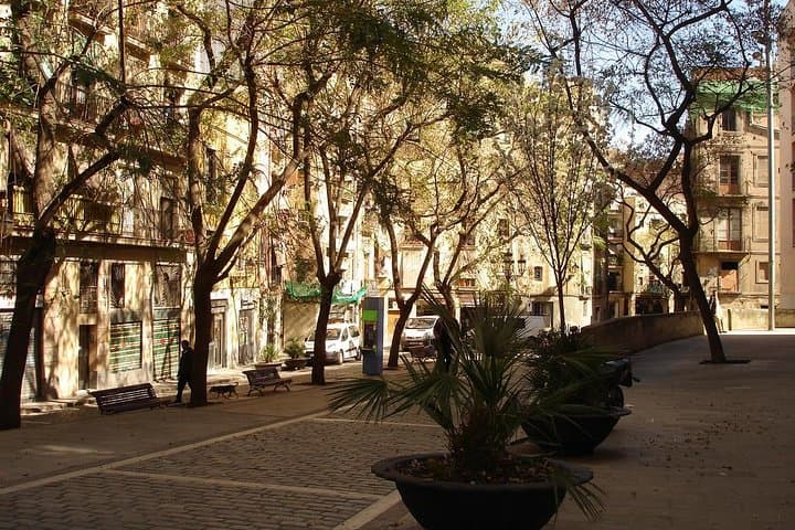 Picasso Museum and Private Walking Tour of Born or Gothic Quarter