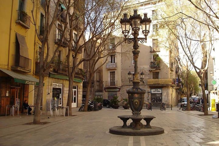 Picasso Museum and Private Walking Tour of Born or Gothic Quarter