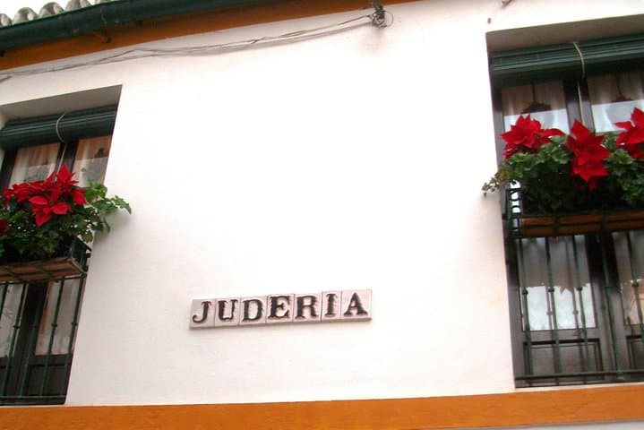 Full Day Seville Tour with tickets (optional Tapas & Flamenco)