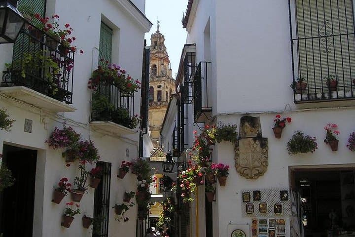 Private 8 hours tour to Cordoba from Seville with hotel pick up