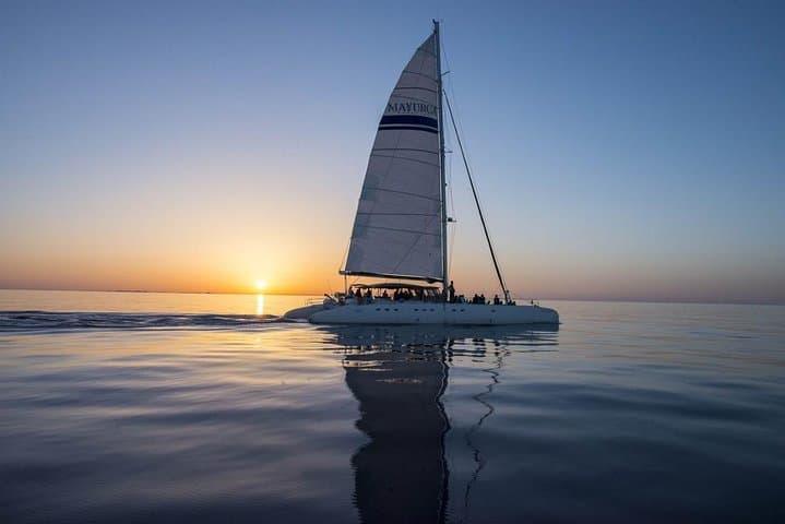 Day Catamaran Trip: Cap des Freus and Llevant Natural Park