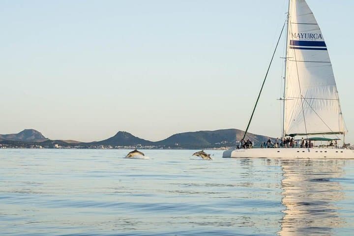 Day Catamaran Trip: Cap des Freus and Llevant Natural Park