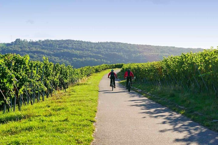 From Barcelona: E-Bike Tour in the vineyards with 2 Wineries