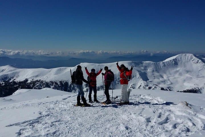 Snowshoes in the Pyrenees from Barcelona - Private Tour