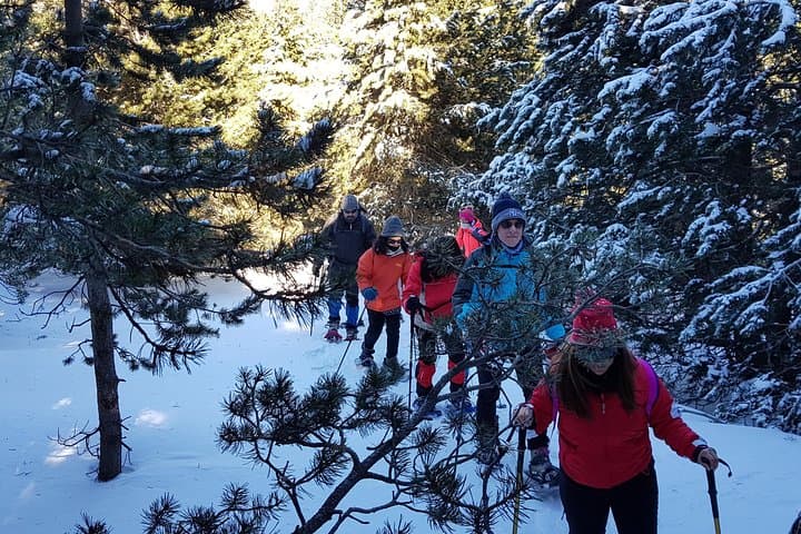 Snowshoes in the Pyrenees from Barcelona - Private Tour