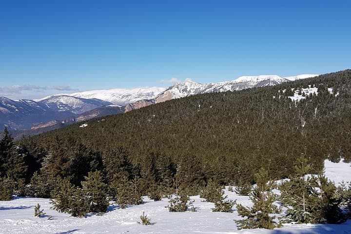 Snowshoes in the Pyrenees from Barcelona - Private Tour