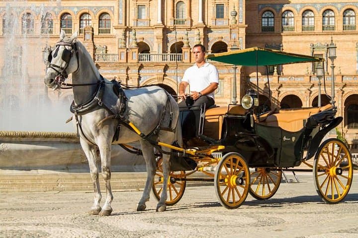 Horse and Buggy Ride in Seville with guide