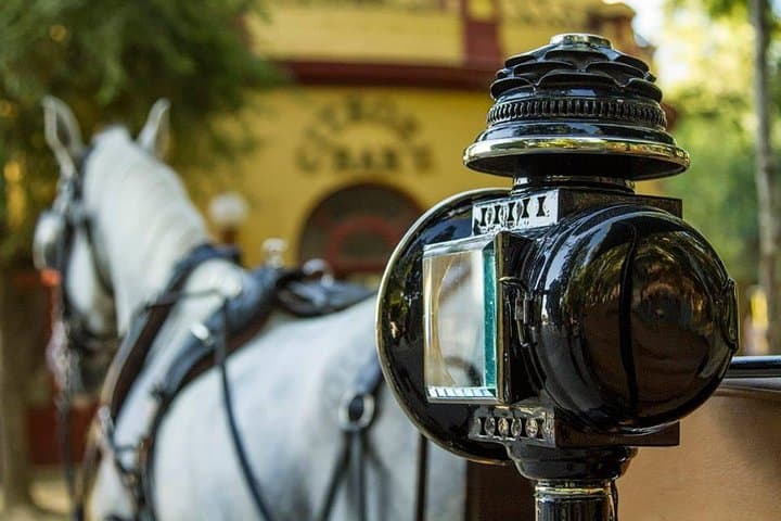 Horse and Buggy Ride in Seville with guide