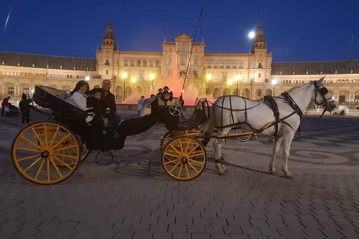 Horse and Buggy Ride in Seville with guide