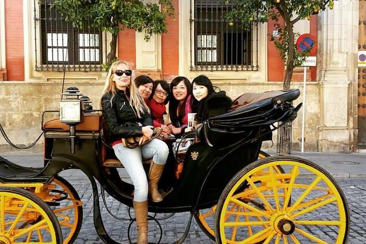 Horse and Buggy Ride in Seville with guide