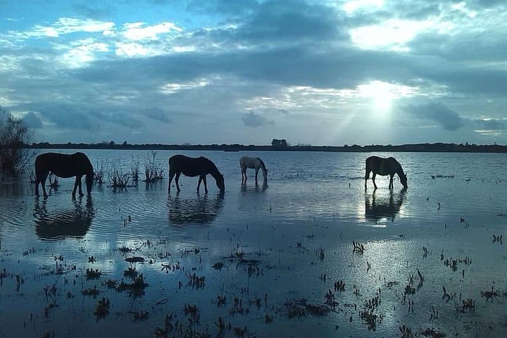DOÑANA NATIONAL PARK