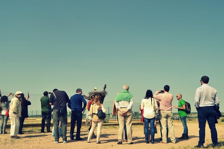 Donana Natural Park Tour