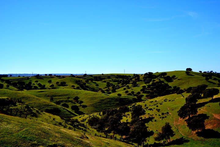 Donana Natutal Park Tour