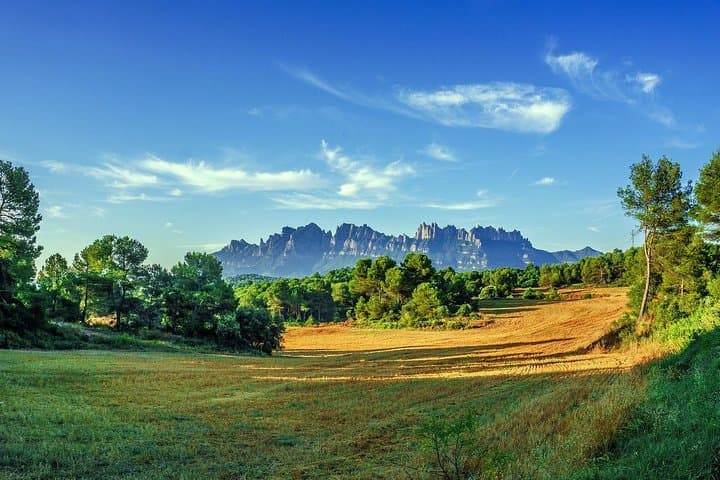 Private Montserrat and Cava Winery Tour with Hotel Pick Up from Barcelona