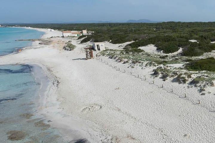 Mallorca Es Trenc Beach Day Tour with Hotel Pick up