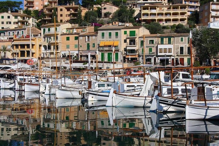 Valdemossa Half Day Tour
