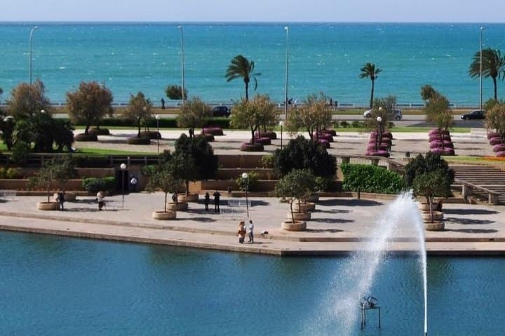 Palma de Mallorca Guided Tour with Hotel Pick up