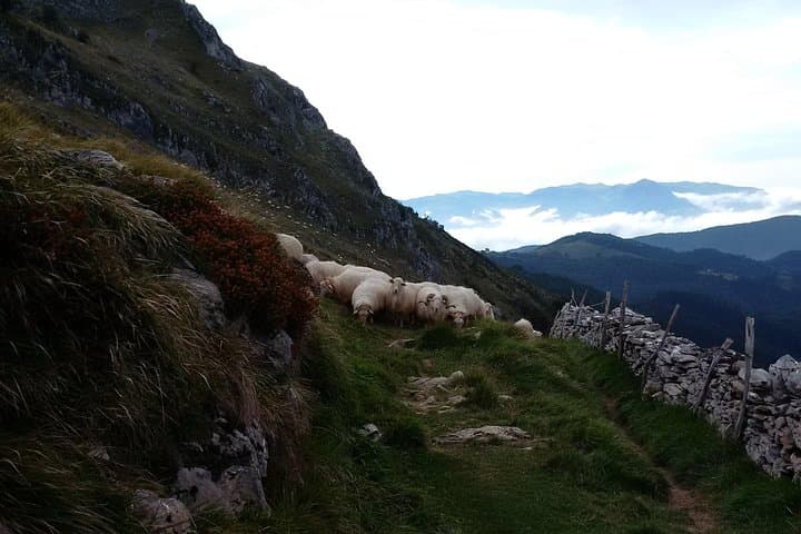 Countryside & Coast Private tour