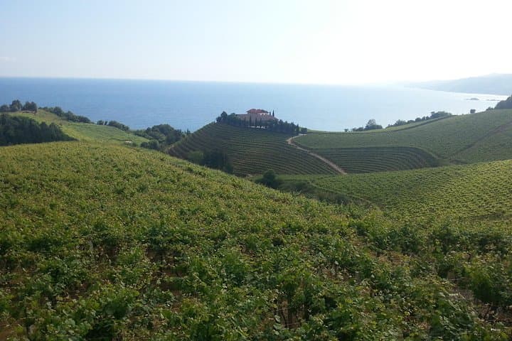 Countryside & Coast Private tour