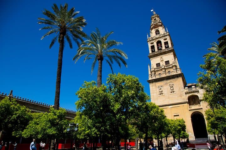 Patio Naranjos Mezquita-Catedral Cordoba