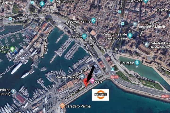 Guided Full-Day Tour of Drach Caves, Porto Cristo & Pearl Factory
