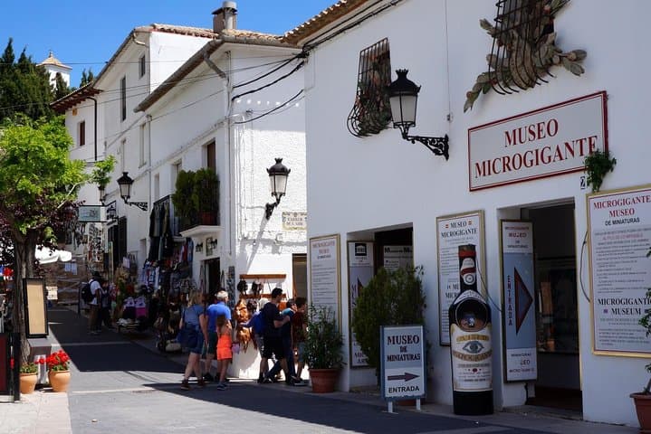 From Albir & Benidorm: Guadalest Village day trip
