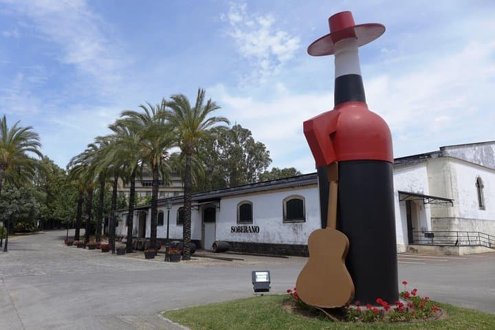 From Seville: Wine Tourism Half Day Tour