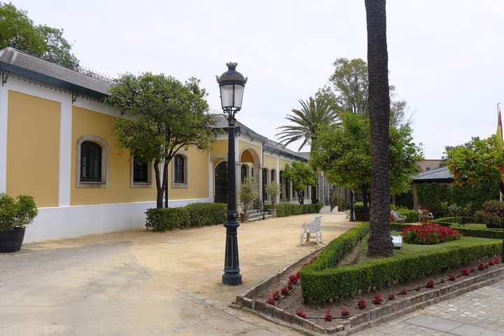 From Seville: Wine Tourism Half Day Tour