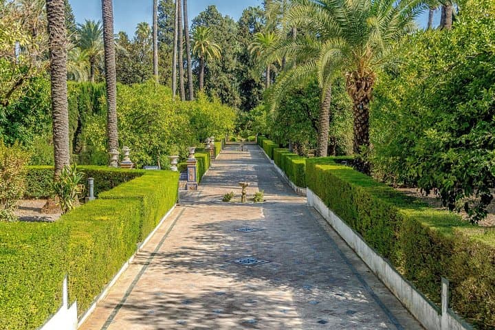 Seville Cathedral, Alcazar, and Jewish Quarter Skip-the-Line Combo Tour