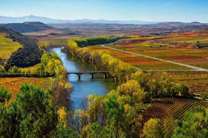 Rioja Wine Tours