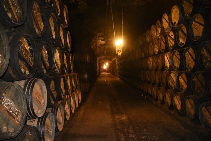 Rioja wine tour