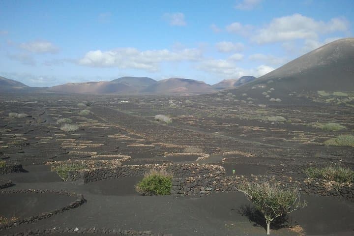 Vineyards of La Geria hiking tour