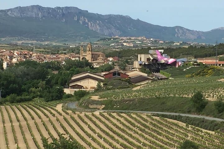 View of Marques de Riscal designed by Frank Gehry...