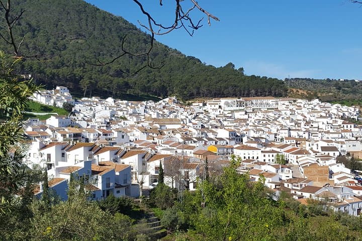 Wine & Tapas tour by electric bike (e-bike) including Ronda pickup (full day)