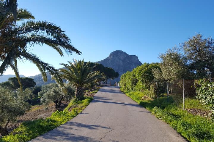 Wine & Tapas tour by electric bike (e-bike) including Ronda pickup (full day)