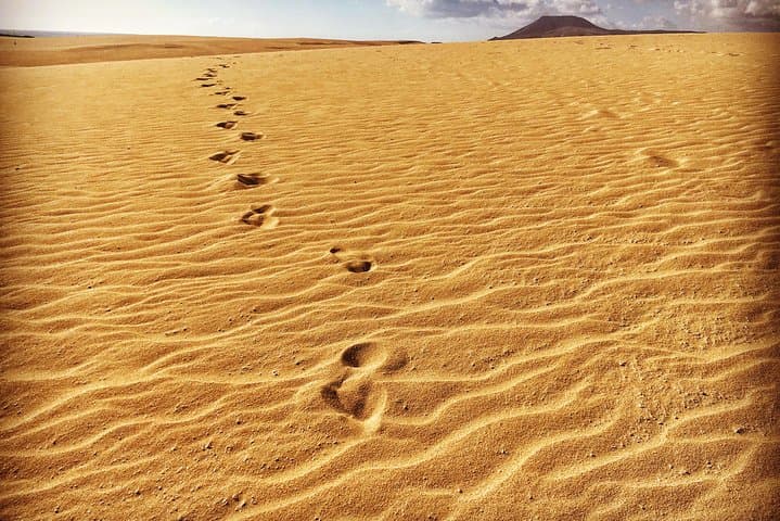Fuerteventura North Exclusive Tour