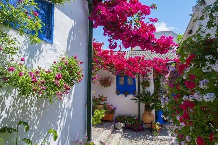 View of one traditional Patio